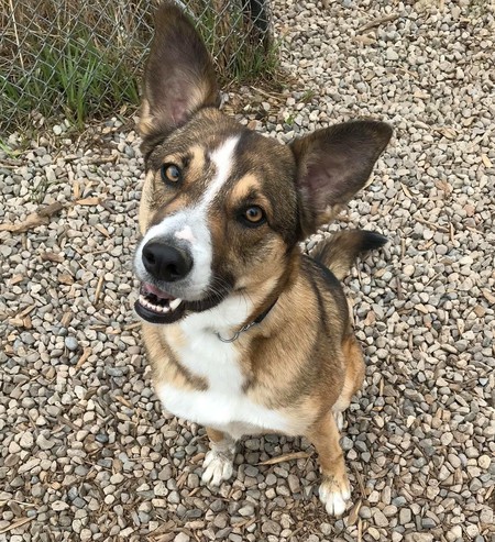 Entry image for Eddie (aka Eduardo). Clicking this image will show a larger photo