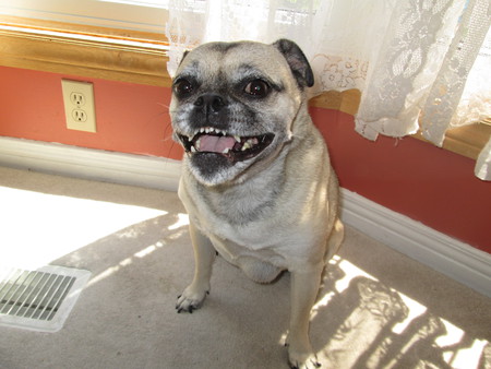 Entry image for Sara. Clicking this image will show a larger photo