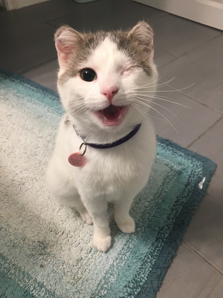 Entry image for Freida Wink. Clicking this image will show a larger photo