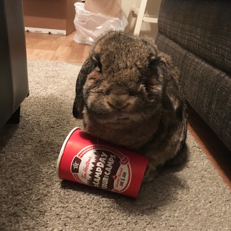 Entry image for Leroy. Clicking this image will show a larger photo