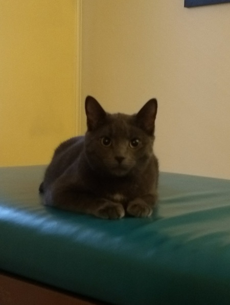 Entry image for Houston. Clicking this image will show a larger photo