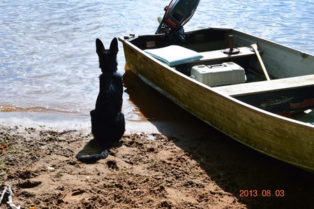 Entry image for Dover . Clicking this image will show a larger photo