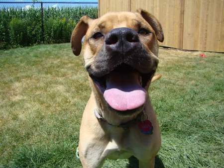 Entry image for Aria. Clicking this image will show a larger photo