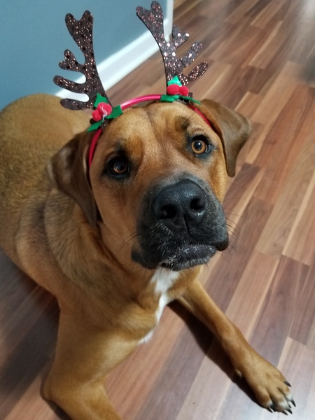 Entry image for Lexi. Clicking this image will show a larger photo