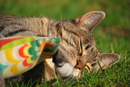 Entry image for Suzy. Clicking this image will show a larger photo