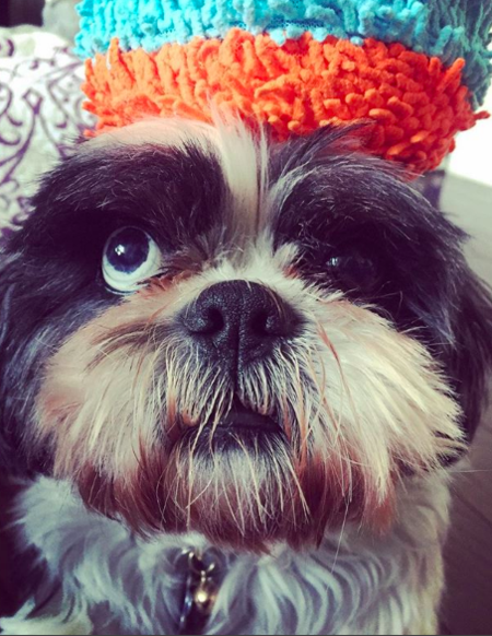 Entry image for Max. Clicking this image will show a larger photo