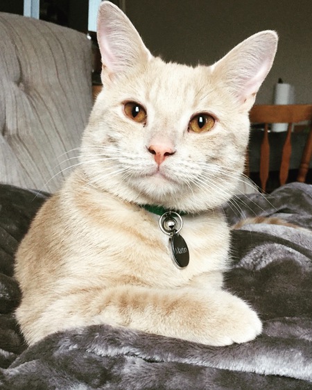 Entry image for Martin. Clicking this image will show a larger photo