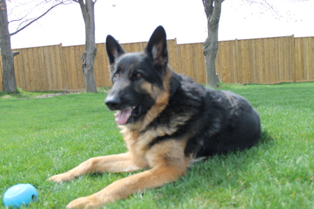 Entry image for Rucker . Clicking this image will show a larger photo