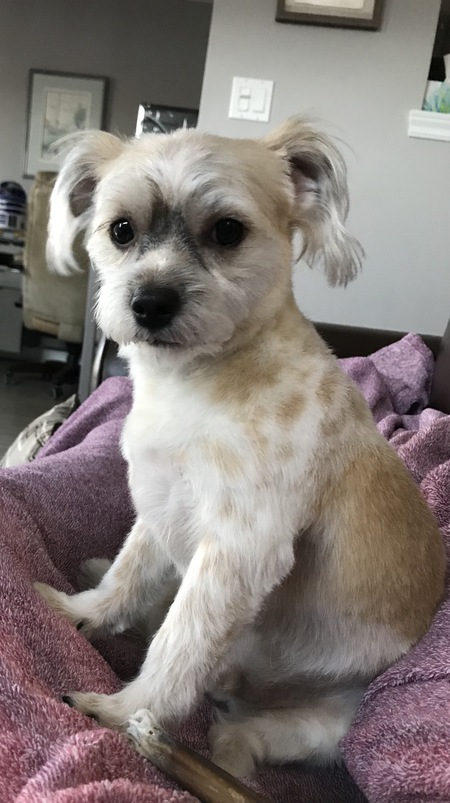 Entry image for Morgan. Clicking this image will show a larger photo