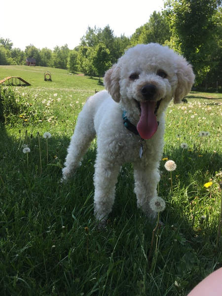 Entry image for Gabriel. Clicking this image will show a larger photo