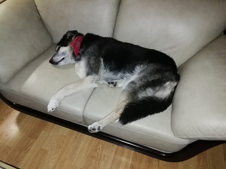 Entry image for Edward. Clicking this image will show a larger photo