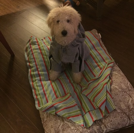 Entry image for Sullivan (Sully)Lindley . Clicking this image will show a larger photo