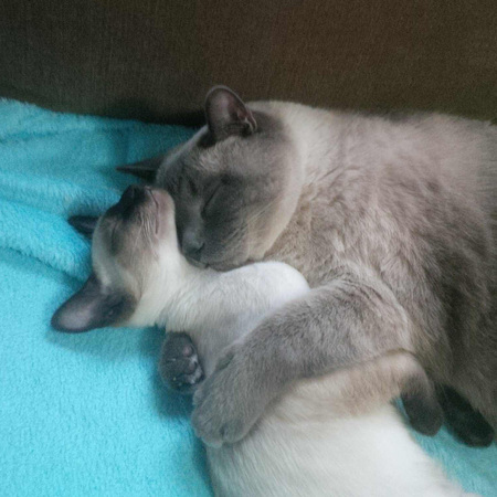 Entry image for Jimmy with Dori. Clicking this image will show a larger photo