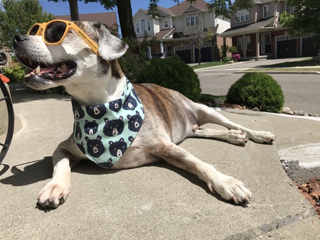 Entry image for Maxerin. Clicking this image will show a larger photo