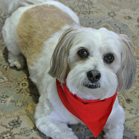 Entry image for Hudson. Clicking this image will show a larger photo