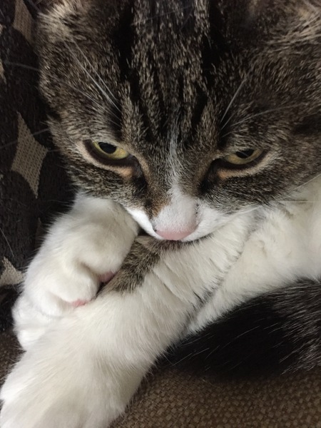 Entry image for Bette. Clicking this image will show a larger photo