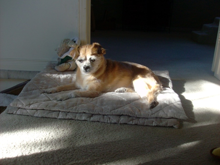 Entry image for Dee Dee Starr. Clicking this image will show a larger photo