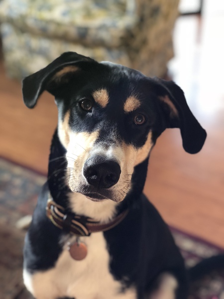 Reuben