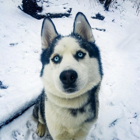 Ragnar