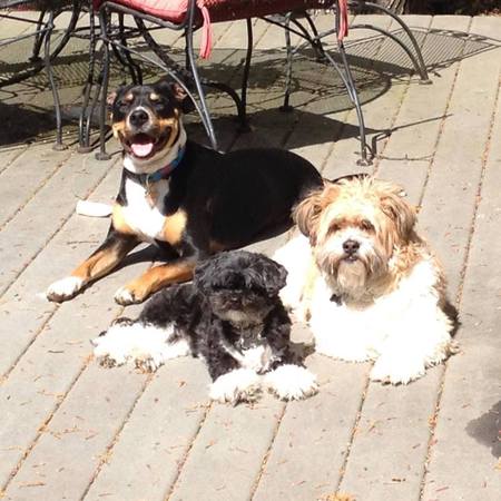 George, Pip & Oscar