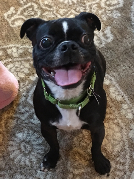 Bilbo
