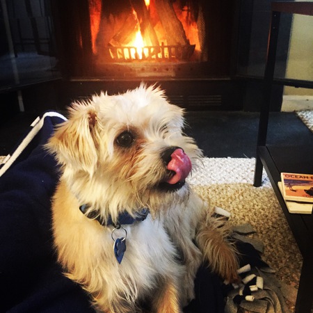 Finn