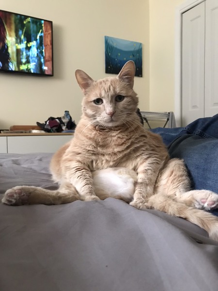 Boris