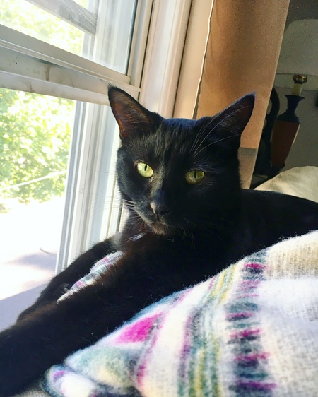Zoe
