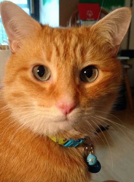 Henry