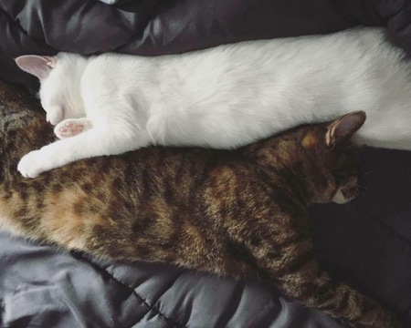 Opal & Stella