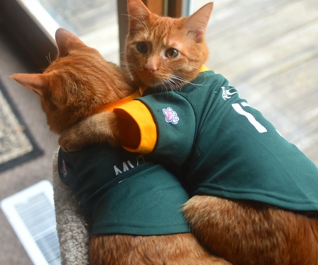 Milo and PJ