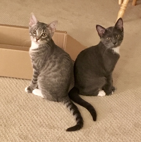 Ivy and Caray 