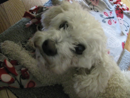 Lucy