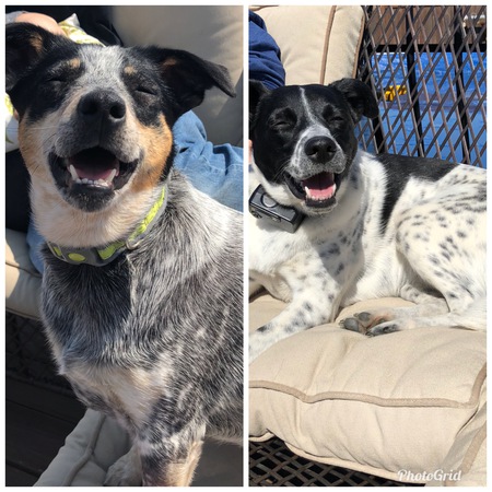 Izzy and Zoey