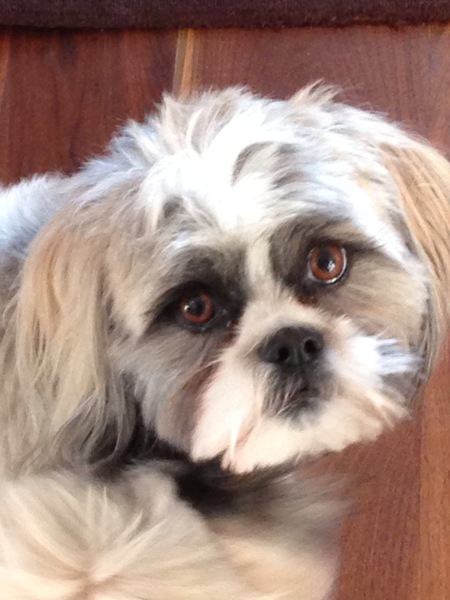 Charlie