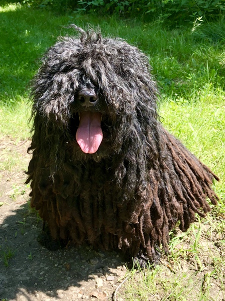 Laszlo