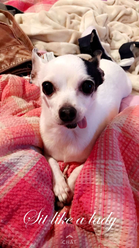 Lucy