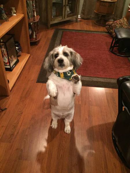 Lucy