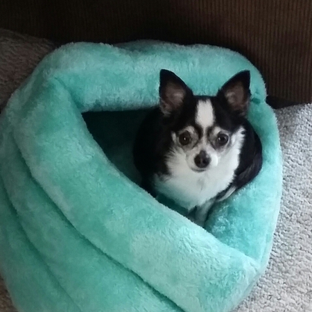 Mollie