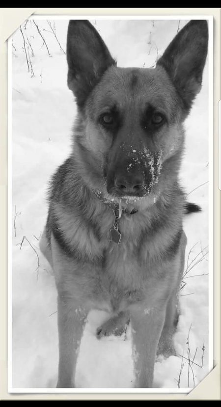 Josie