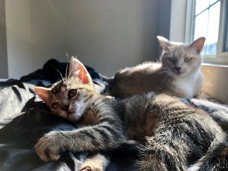 Gemma &Tabi