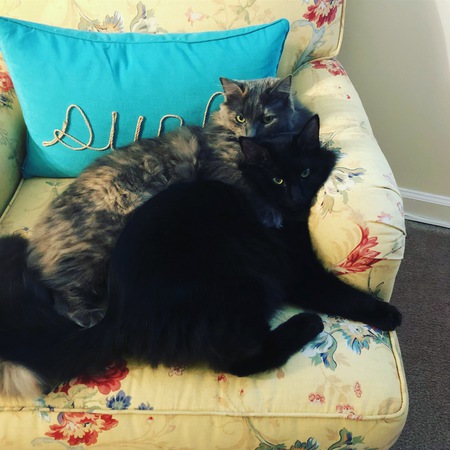 GrayCee & Beau