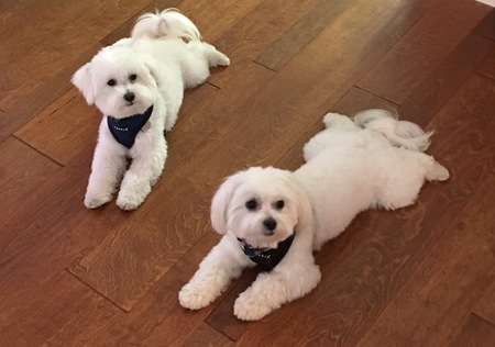 Rudy & Smokey Morris