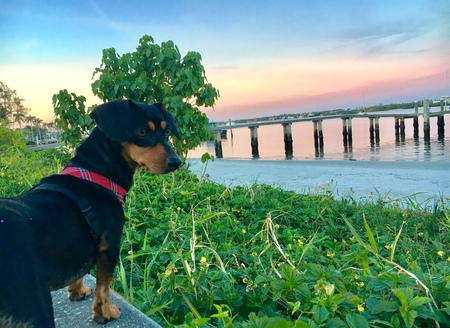 Kiara