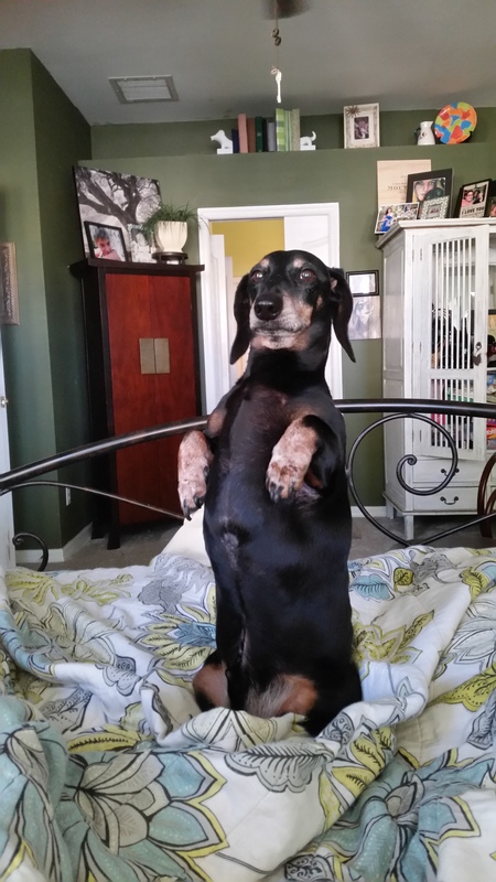 Ira, Aka Bubby