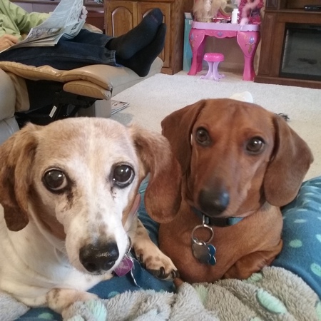 elder, Lacey & Buddy