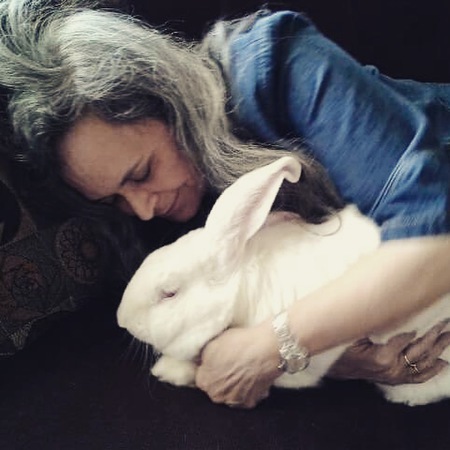 Rollo