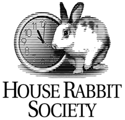 https://rabbit.org/