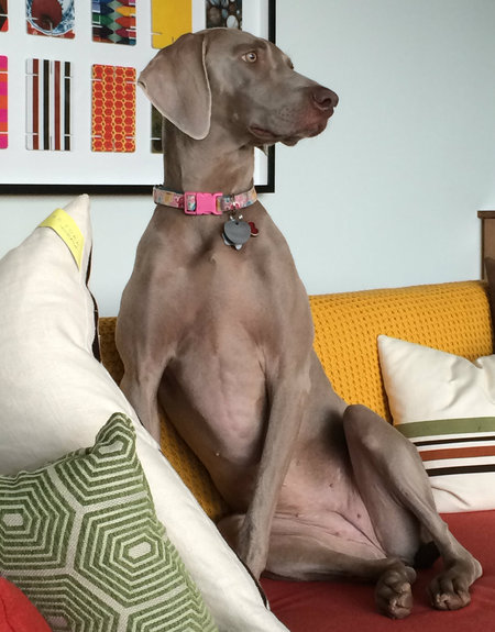 Milla