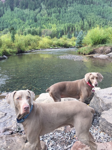 Ramsey (was Oakley)